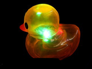 ピカピカジャンボアヒルさん