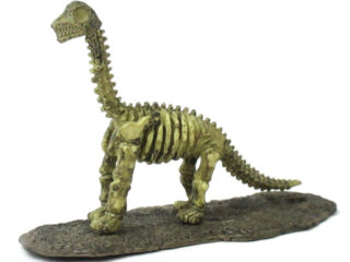 恐竜化石フィギュア中身4