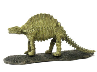 恐竜化石フィギュア中身１