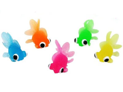 フローティング金魚（出目金）